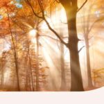 Rituals for the Fall Equinox