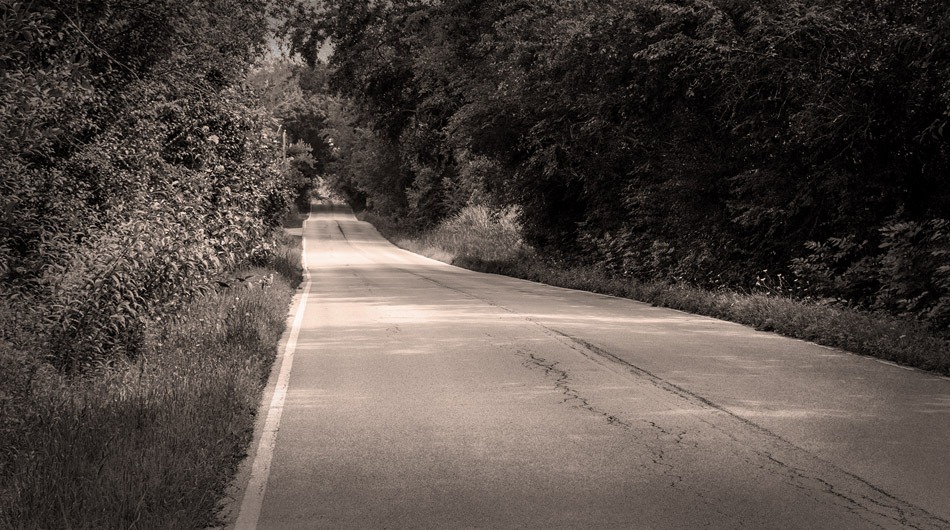 A narrow, cracked road stretches forward through dense trees and bushes in a black and white photograph, evoking the eerie legend of Haunted Cuba Road.