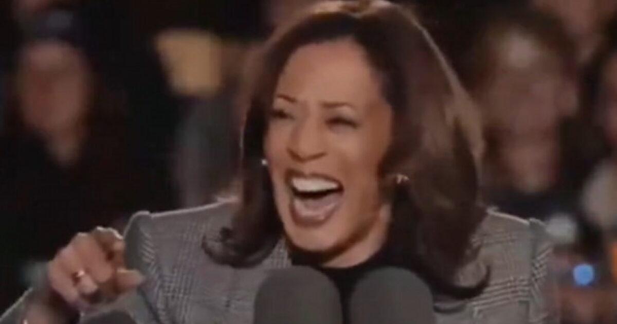 Democratic National Committee STILL Struggling to Pay Off Kamala Harris Campaign Debt Nearly a Year Later