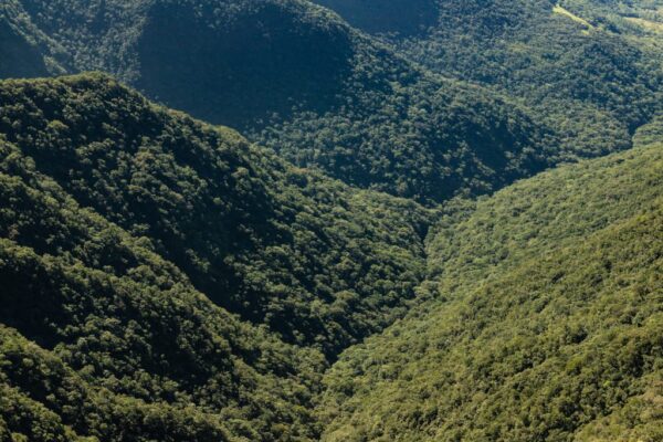 Brazil expands Indigenous territories as COP30 protests spotlight the stakes