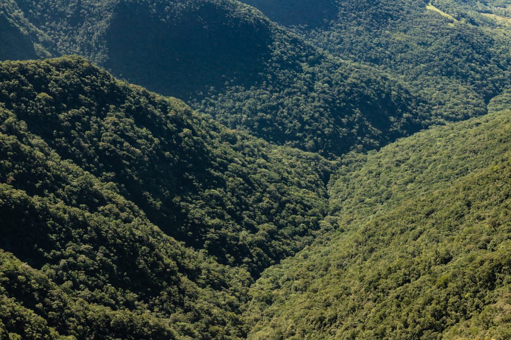 Brazil expands Indigenous territories as COP30 protests spotlight the stakes