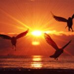 How the Mercury Retrograde in Sagittarius Tested Us 2025-1201-Mercury-Retrograde_sunrise-400x250-1