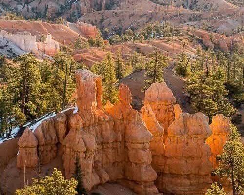 Our Sacred Planet Mother Earth in all of it’s Amazing Beauty and the Quote of the Day 990