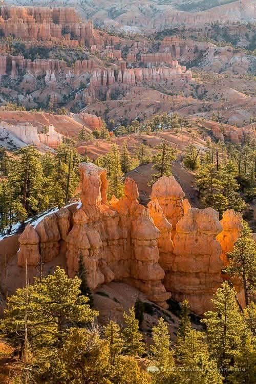 Our Sacred Planet Mother Earth in all of it’s Amazing Beauty and the Quote of the Day 990