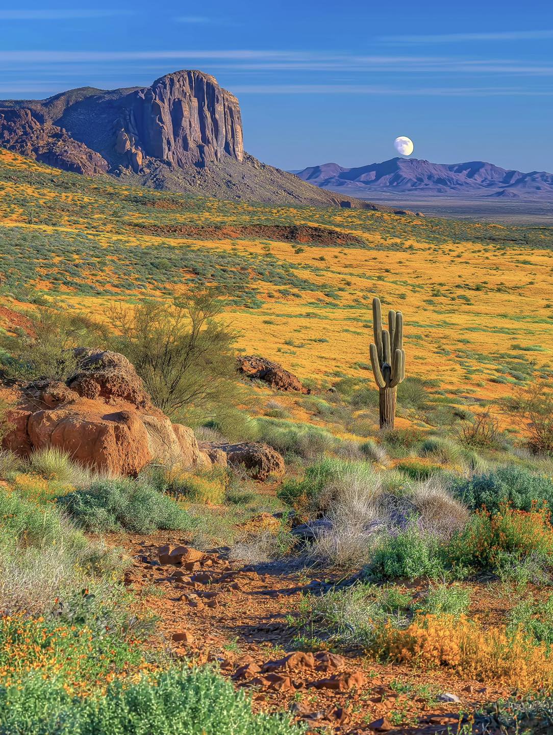 Our Sacred Planet Mother Earth in all of it’s Amazing Beauty and the Quote of the Day 983