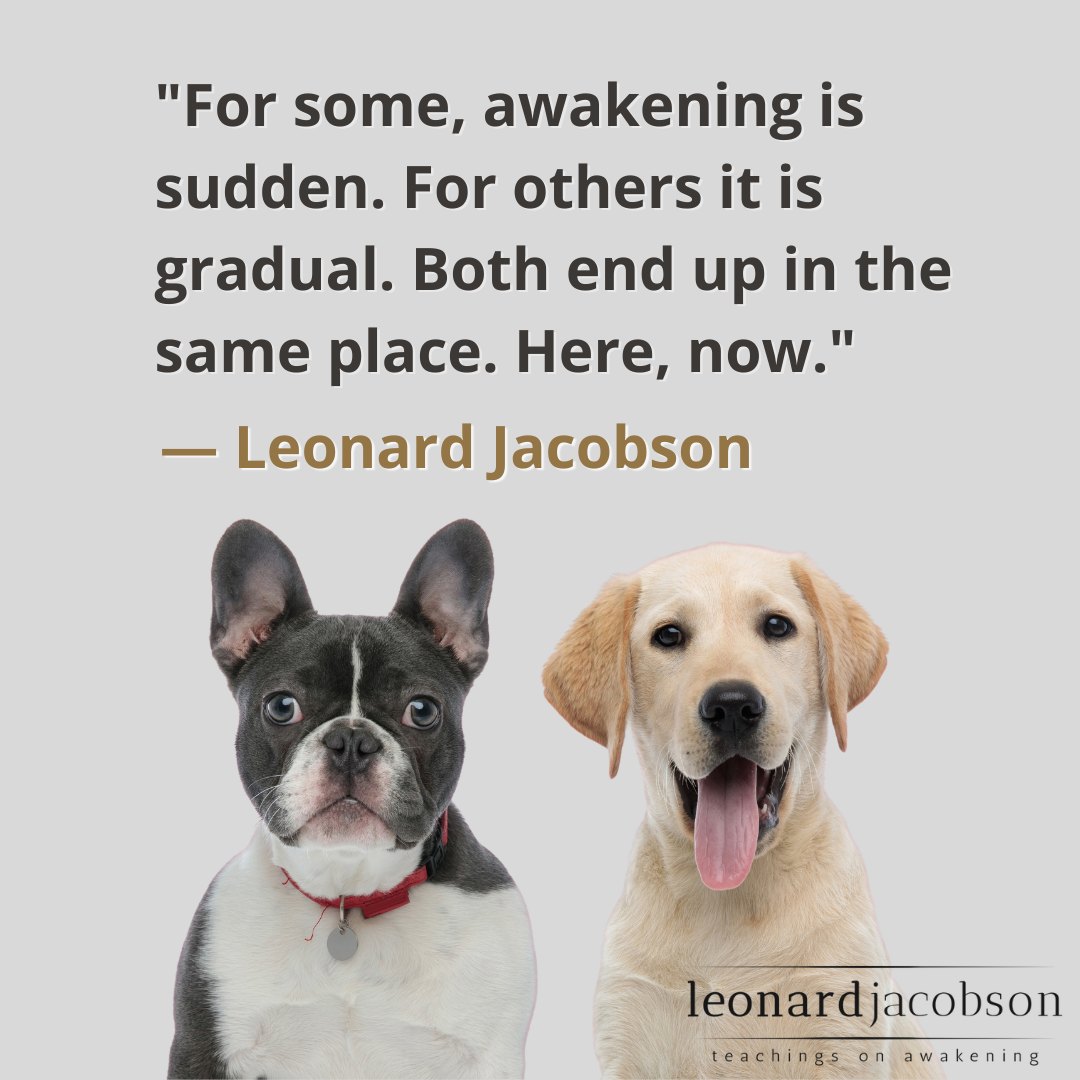 Daily Quote 11692-awaken
