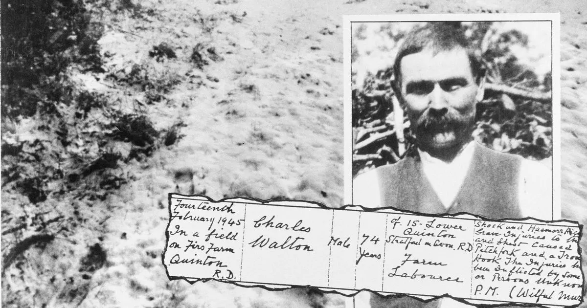 JS80119236 Paranormal Daily News