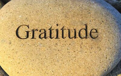 Practicing Gratitude on Thanksgiving is a Powerful Action for Health & Happiness