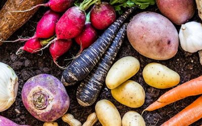 How To Cook & Use Root Vegetables + 7 Root Vegetable Recipes
