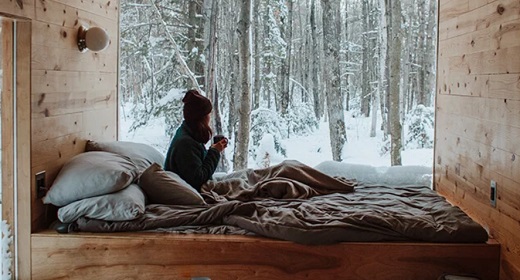The Great Downsizing And Henry David Thoreau