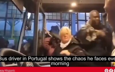 Bus Driver in Portugal shows the Mass Chaos He Faces Every Morning