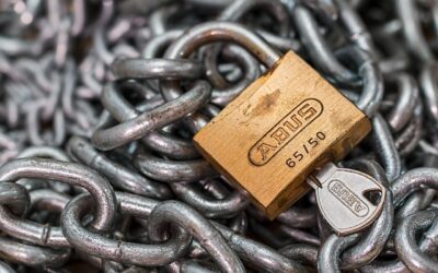 Digital Chains: How Central Banks Are Building a No-Escape Economy