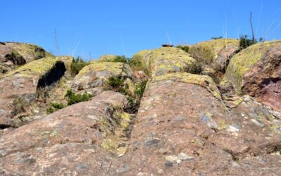 Cart-Ruts – A Global Archaeological Mystery
