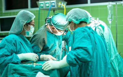 UKC News: ‘BBC Bias’ Scandal Blows Open + Organ Donation Scheme Exposed
