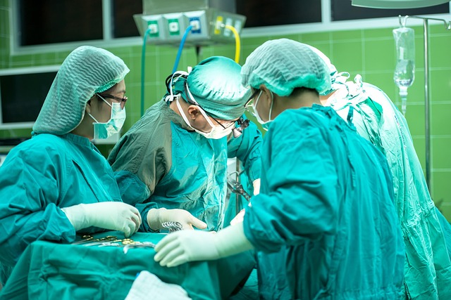 UKC News: ‘BBC Bias’ Scandal Blows Open + Organ Donation Scheme Exposed