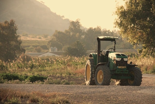 Global Transformation of Food Systems –  The Killing Off of Food Sovereignty