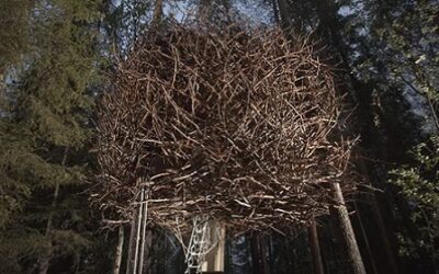 8 Unreal Treehouse Escapes