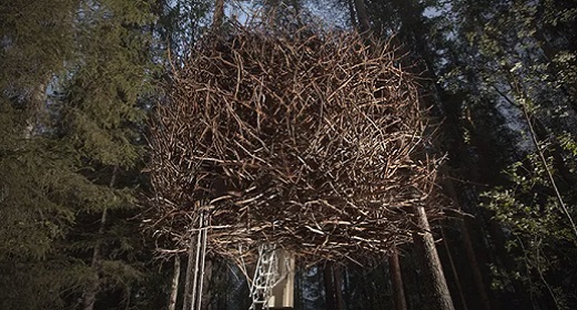 8 Unreal Treehouse Escapes