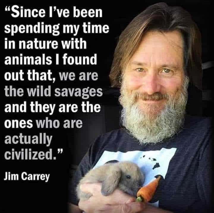 JIm Carrey-awaken