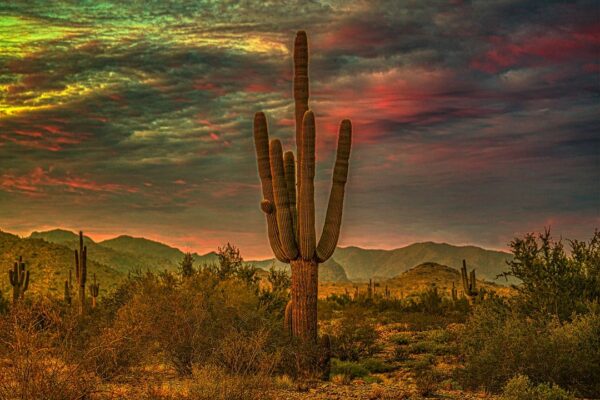 Our Sacred Planet in all of it’s Amazing Beauty and the Quote of the Day 3