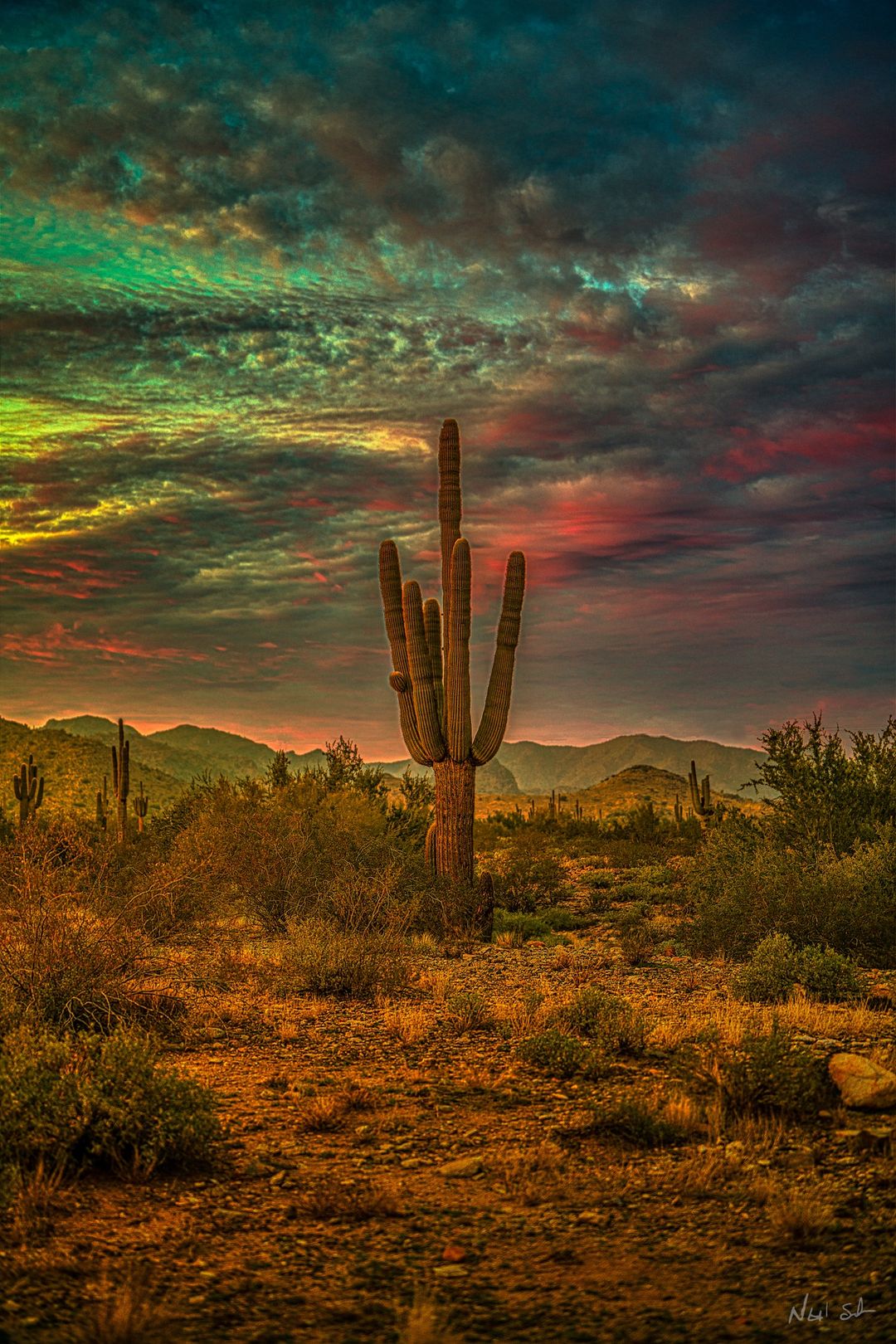 Our Sacred Planet in all of it’s Amazing Beauty and the Quote of the Day 3