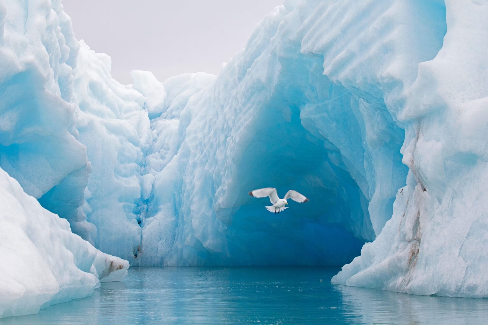 Our Sacred Planet Mother Earth in all of it’s Amazing Beauty and the Quote of the Day 1,003