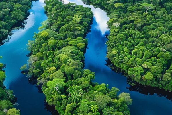 Our Sacred Planet Mother Earth in all of it’s Amazing Beauty and the Quote of the Day 1,011
