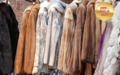Norway bids farewell to fur farming in a milestone for animal welfare