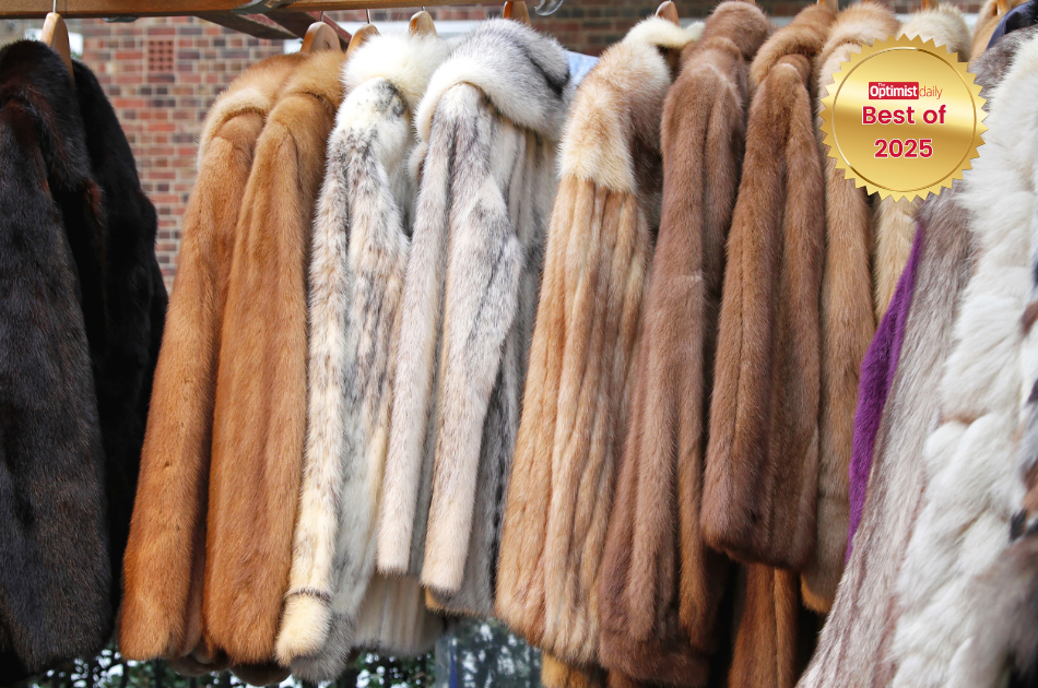 Norway bids farewell to fur farming in a milestone for animal welfare