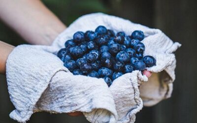 5 Delicious Calming Foods (+Recipes!)