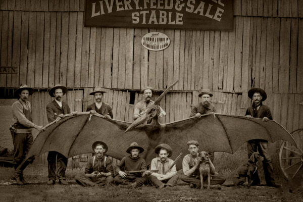Pterodactyl Sightings in the American Old West-Thunderbirds.