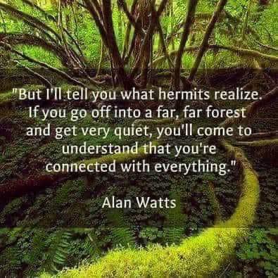 Daily Quote 11700-awaken