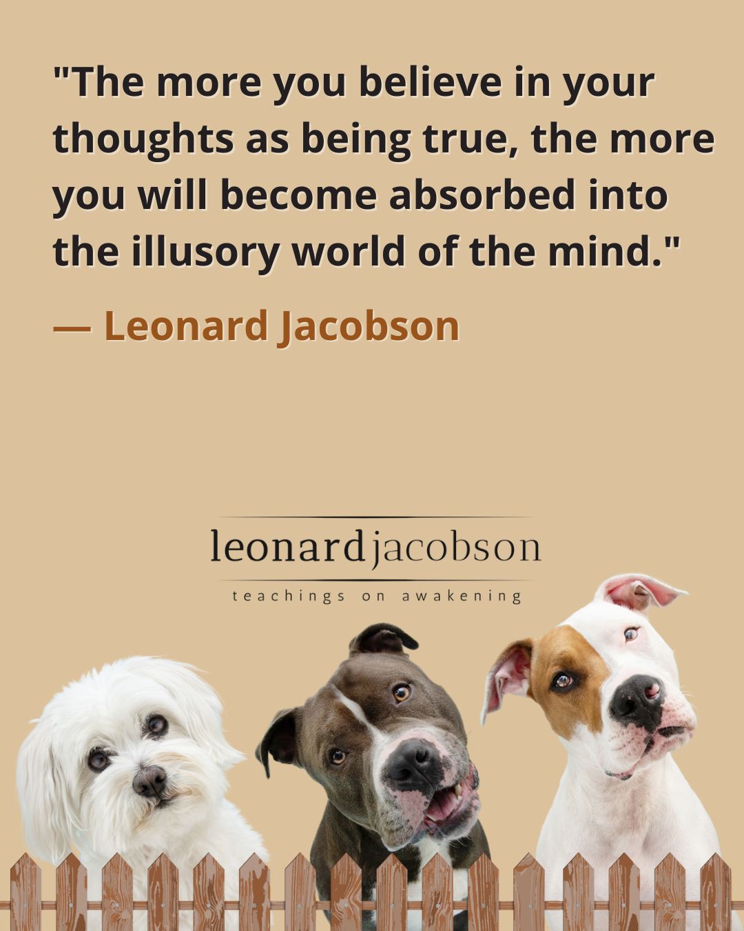 Daily Quote 11703-awaken