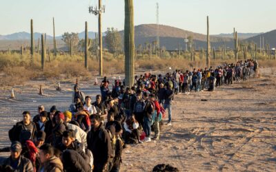 Immigration Gone Wild