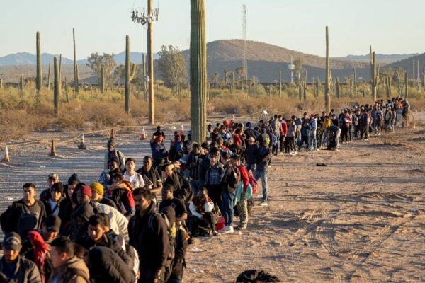 Immigration Gone Wild