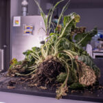 How Vive Crop Protection is helping farmers grow more, while using harmful pesticides less