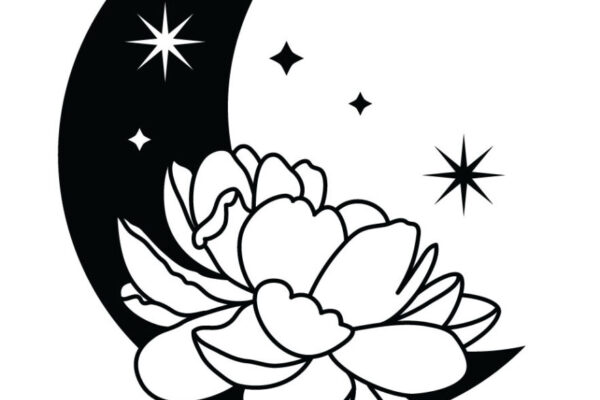 Herbal Profile: Arnica