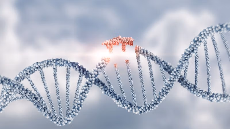 The NY Times Acknowledges That Autism Is Not Primarily Genetic Shutterstock_2303936189-800x450jpg