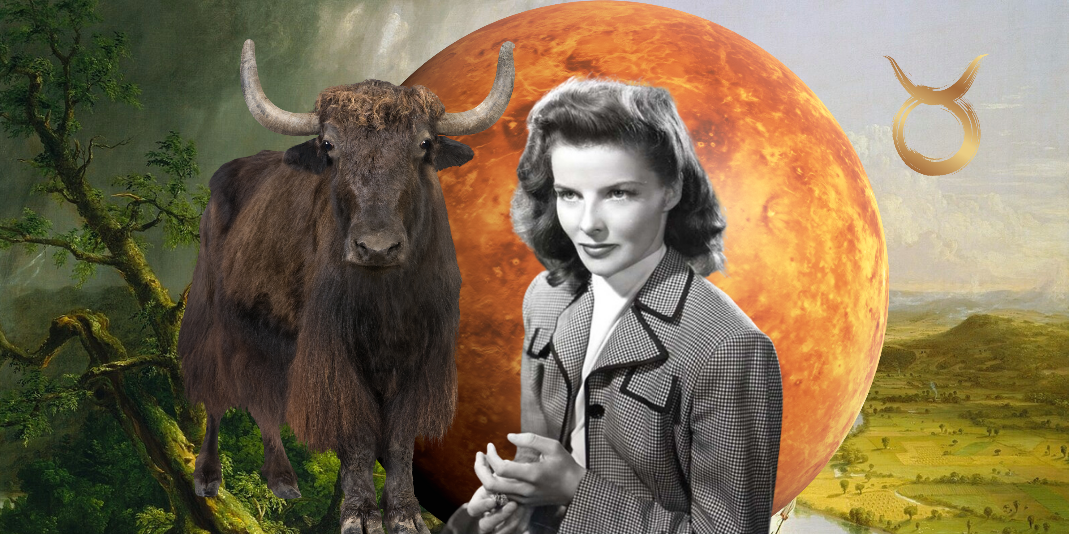 taurus