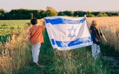 Stop Picking On Poor Little Israel