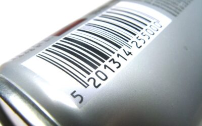 Algorithmic Pricing and the American Social Credit Score
