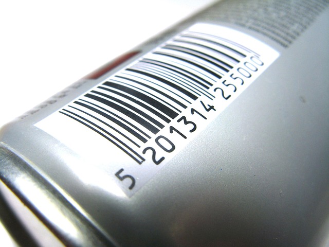 Algorithmic Pricing and the American Social Credit Score