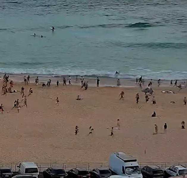 Bondi Beach shooting – Jewish festival attacked