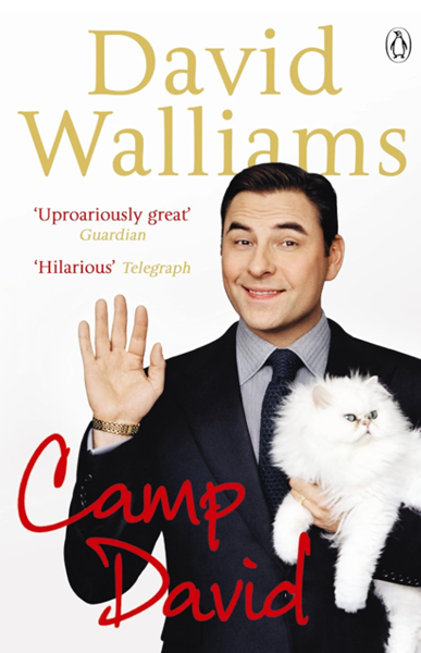 David Walliams – super successful, then not