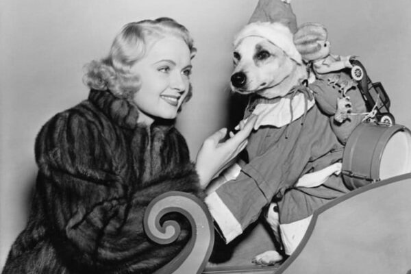 The Hit List – The 2025 Tarot, Astrology, and Mystical Holiday Shopping Guide