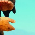Qigong Routine For Immune System – Immuni Qi image