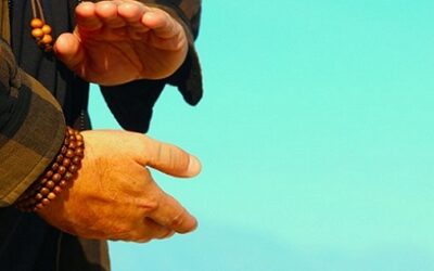 Qigong Routine For Immune System – Immuni Qi
