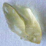 libyan-desert-glass-sq175-1