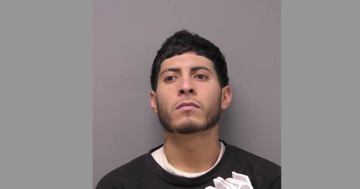 Illegal Migrant Sentenced to 20 Years for Violently Assaulting and Choking ICE Agent