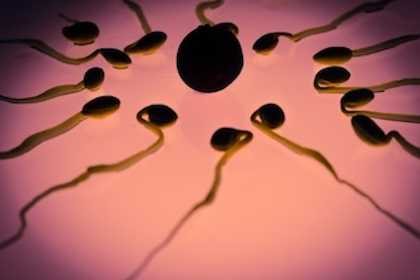 Rising Male Infertility A Catastrophe Waiting to Happen